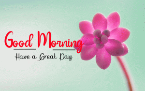 Happy Good Morning Wallpaper Download