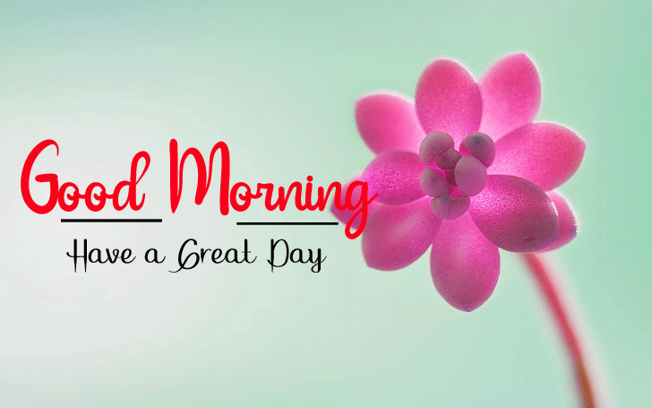 255+ Free Best Happy Good Morning Images HD Download