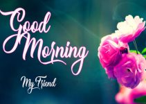 98+ good morning have a nice day images download