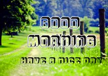 98+ Best Good Morning Images Wallpaper Pictures list Here 2021 Download