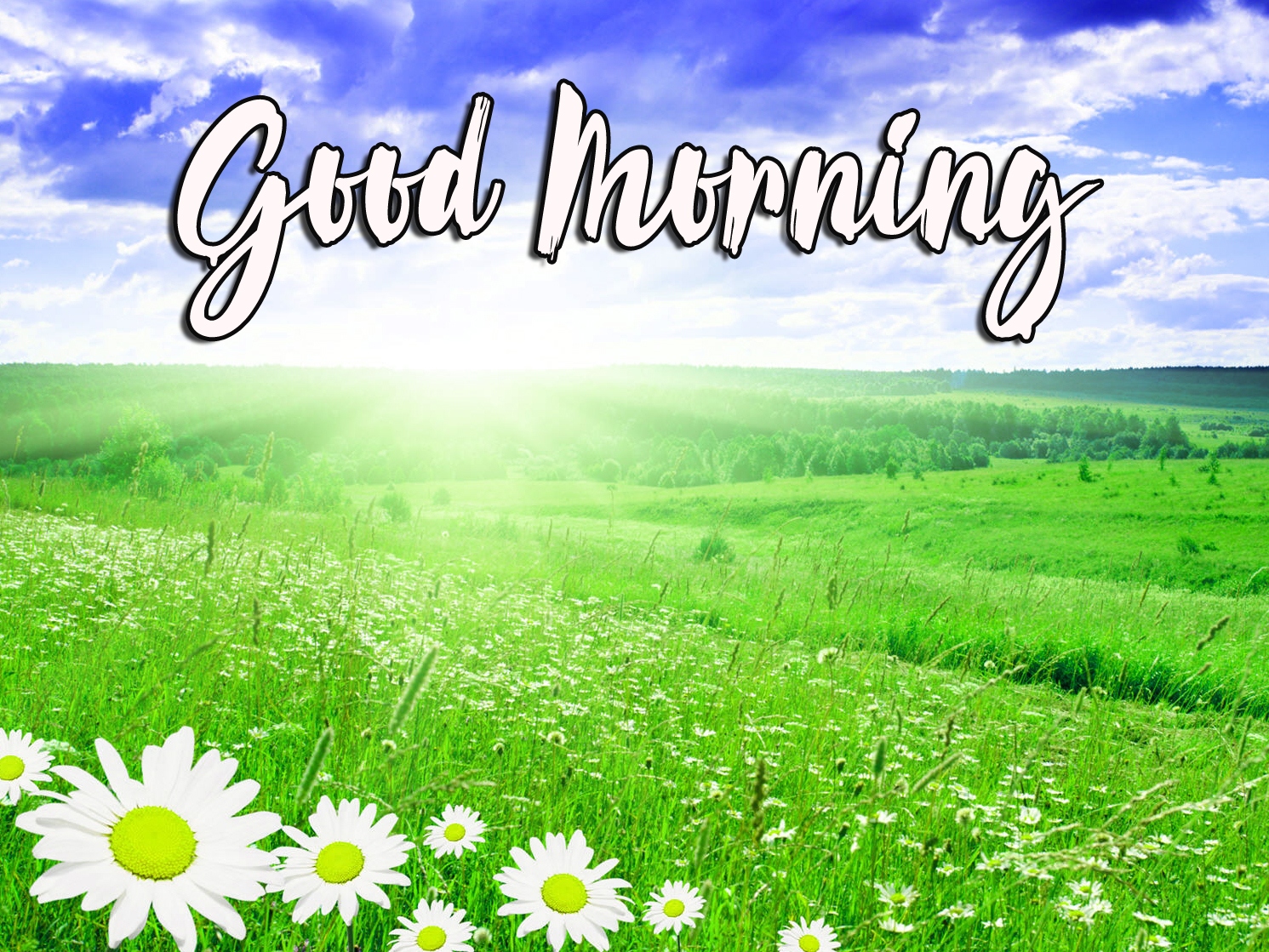 Good Morning Images Photo Download 