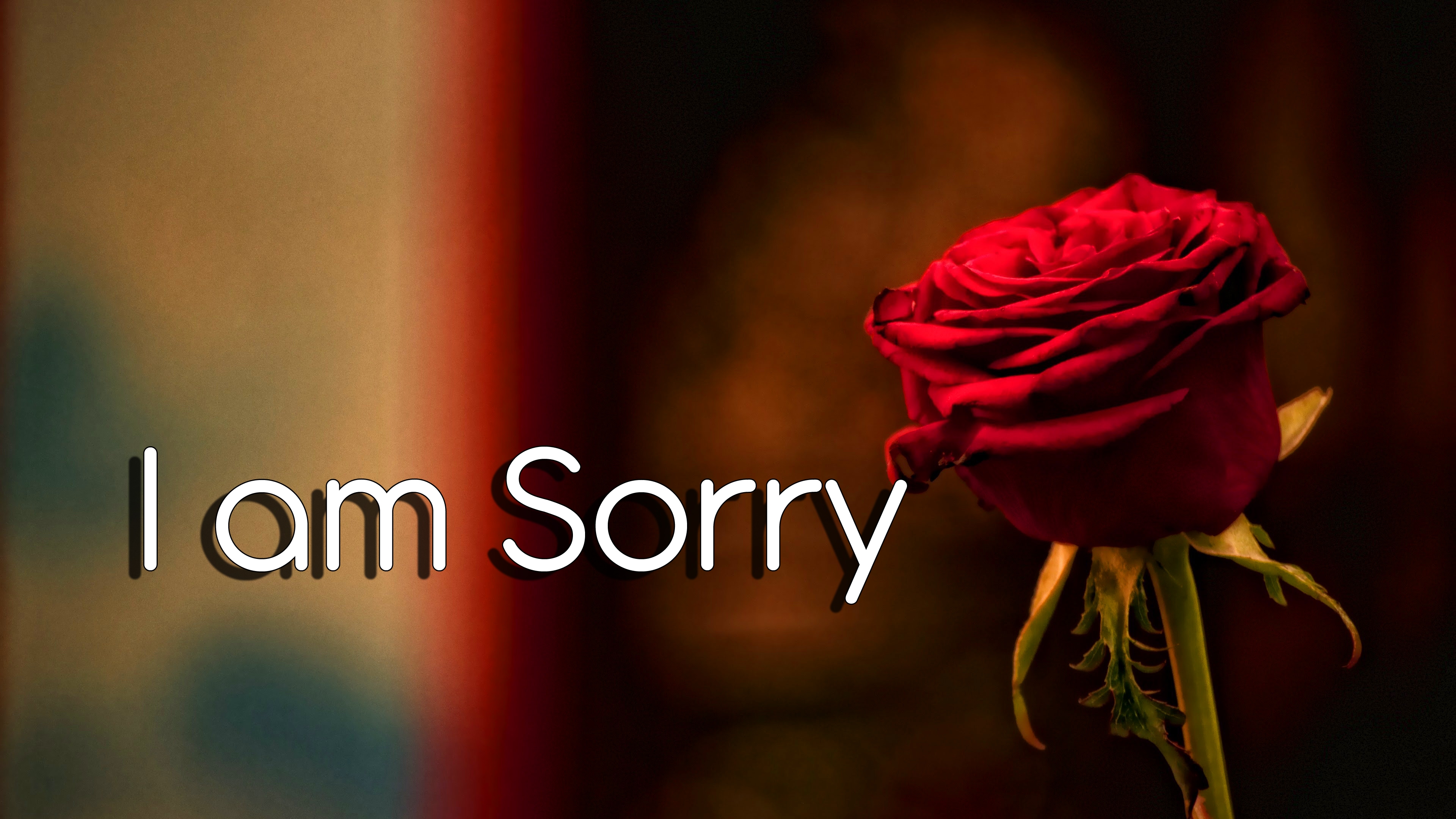 Red Rose Free I am Sorry Images Pics Download 