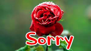 I am Sorry Images photo for Facebook