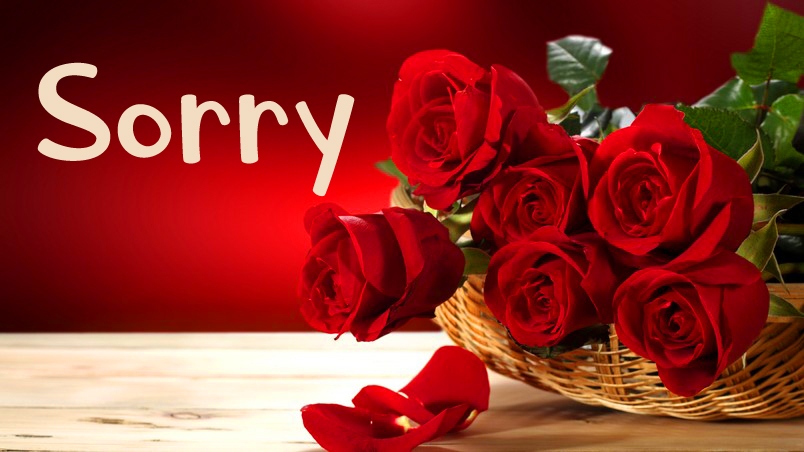 I am Sorry Images Pics Wallpaper for My Love