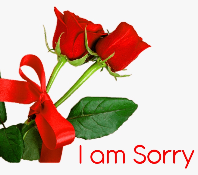 I am Sorry Images Photo Wallpaper free Download 