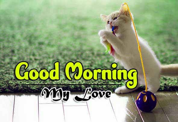 All Funny Good Morning Pics New Download 2
