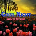 Best Night Images HD Download 49