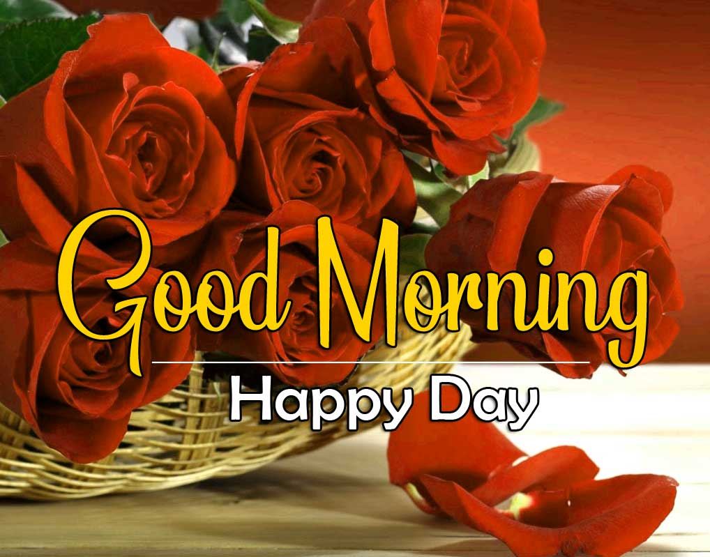 Free Morning Wishes Images With Red Rose Wallpaper