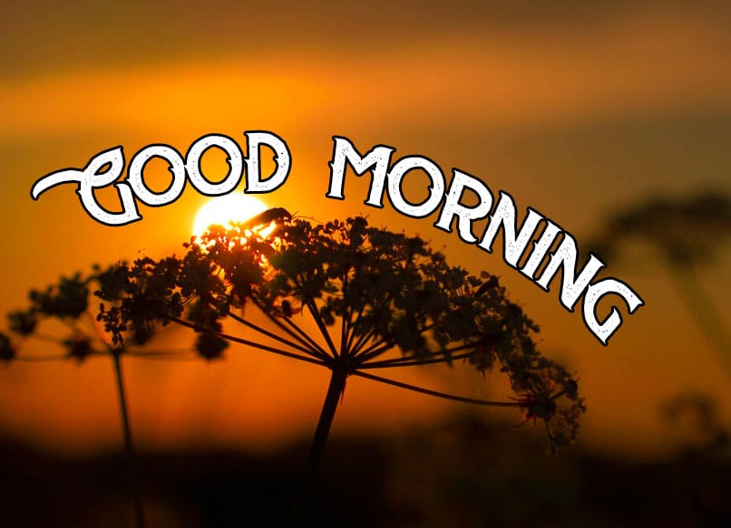 Good Morning Wishes Pics Free Download
