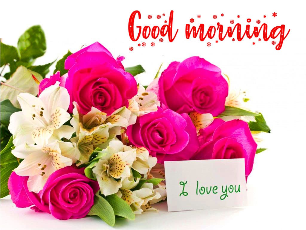 Good Morning Wishes Wallpaper Pics Download