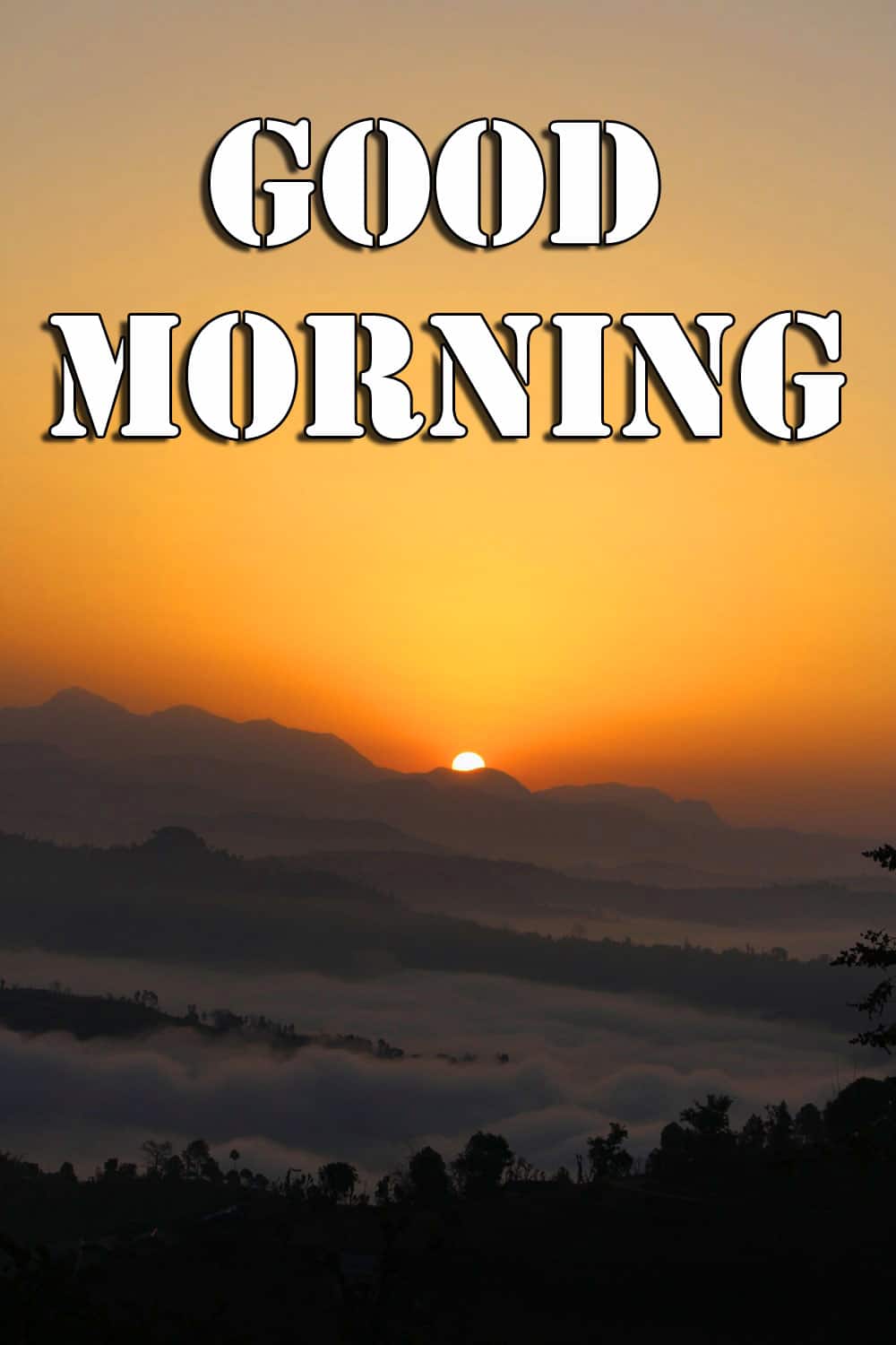 Good Morning Wishes photo Pics Download