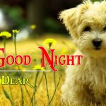 Beautiful Puppy Good Night Pics HD Download