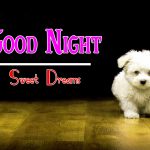 Good Night Images With Cute Puppy