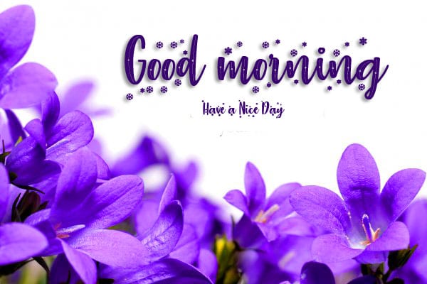 New Best Good Morning Wishes Images Download