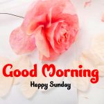 Sunday Good Morning Images Pics Download With Rose