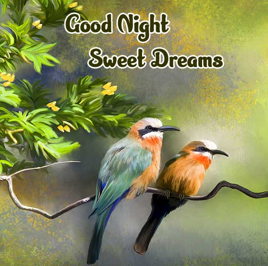 good night sweet dreams images for friends 31