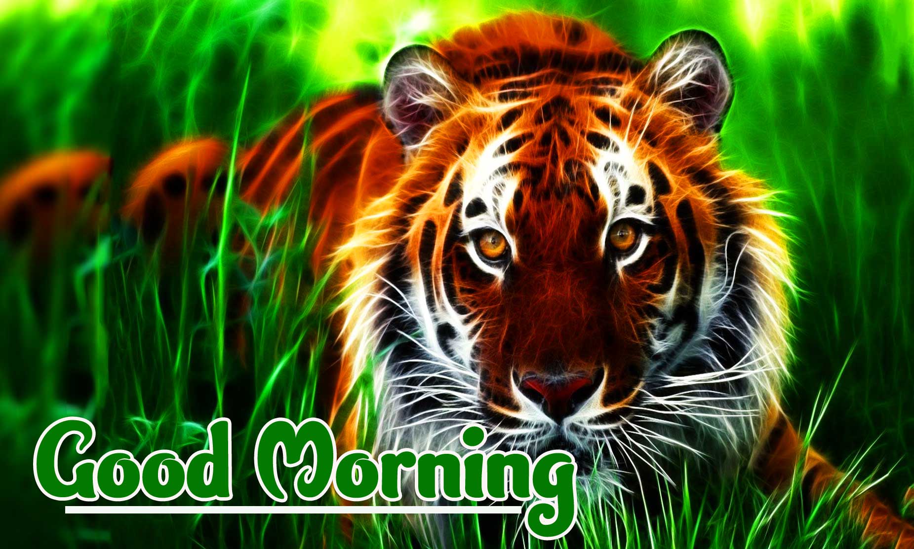 Animal Bird Lion Good Morning Wishes Pics HD Download 
