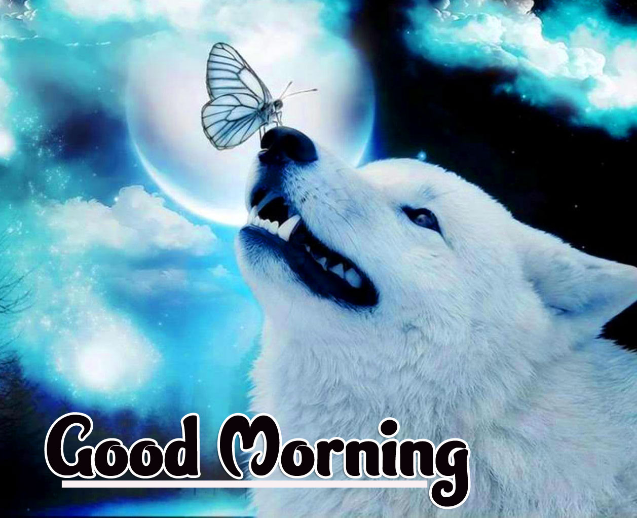 Animal Good morning Wishes Pics Wallpaper HD Download 