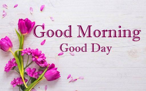 Animal Good morning Wishes Images Pics Wallpaper Free Download 