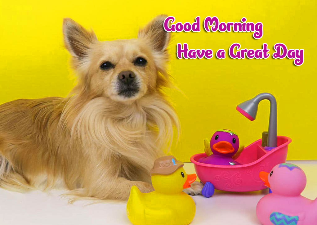 Animal Good morning Wishes Images Pics Download 