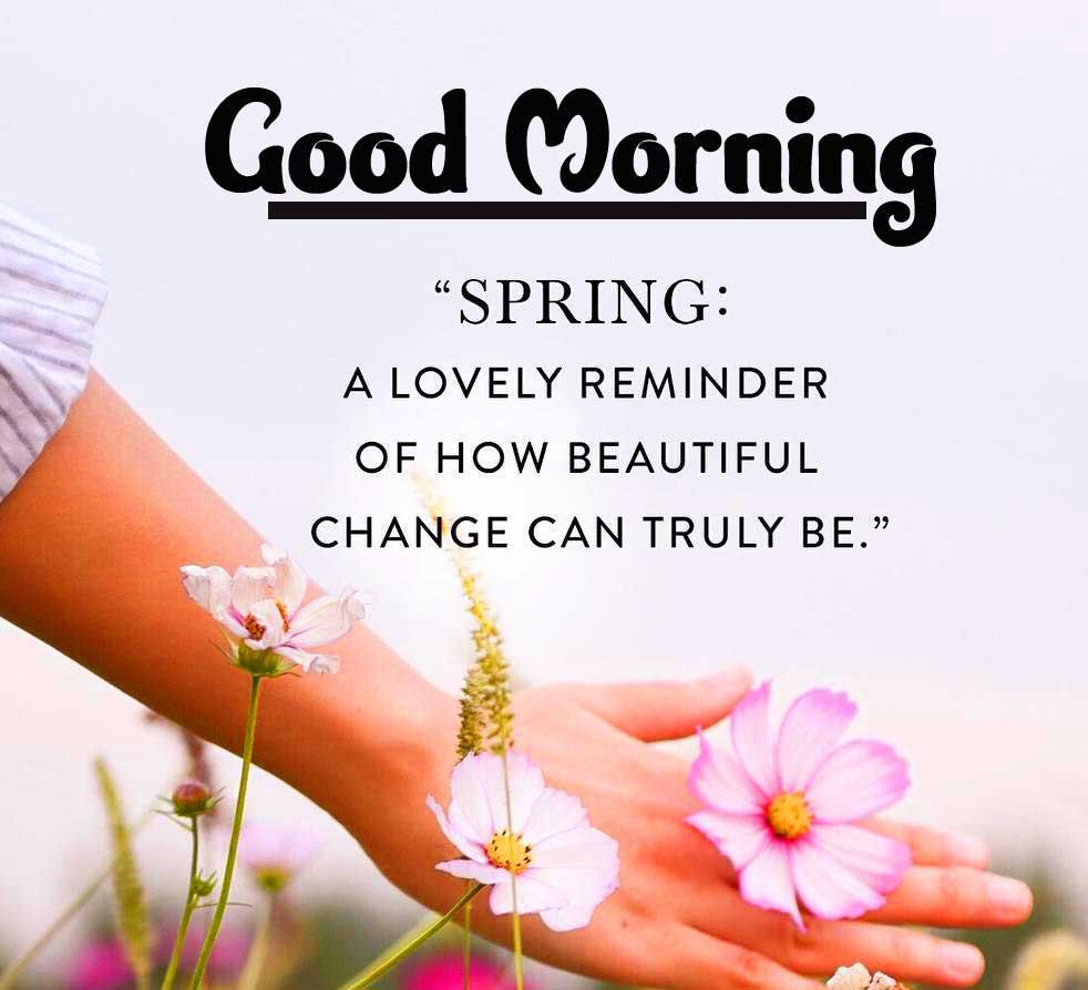Beautiful Good Morning Images Download 13