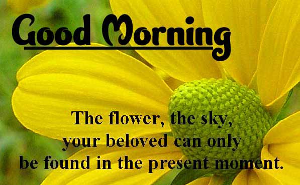 Beautiful Good Morning Images Download 14