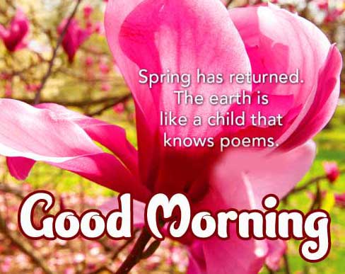 Beautiful Good Morning Images Download 15