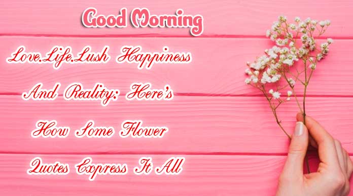 Beautiful Good Morning Images Download 18