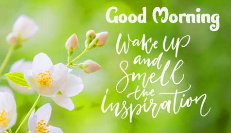 Beautiful Good Morning Images Download 26