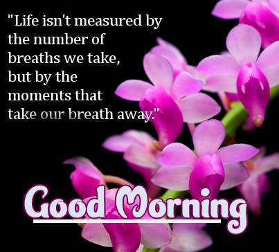 Beautiful Good Morning Images Download 31