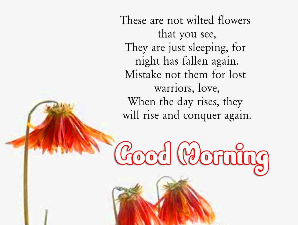Beautiful Good Morning Images Download 44