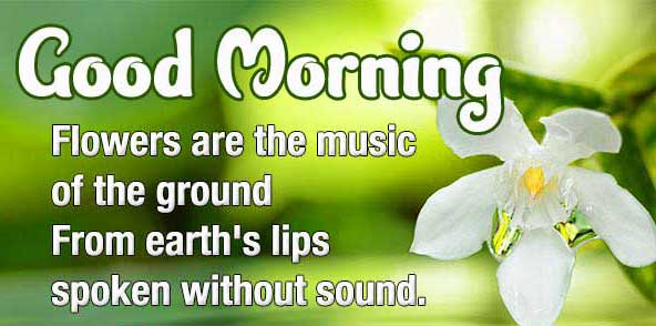 Beautiful Good Morning Images Download 46