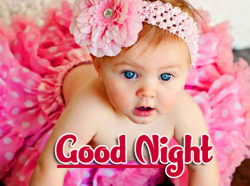 Cute Good Night Images Photo pics Download 