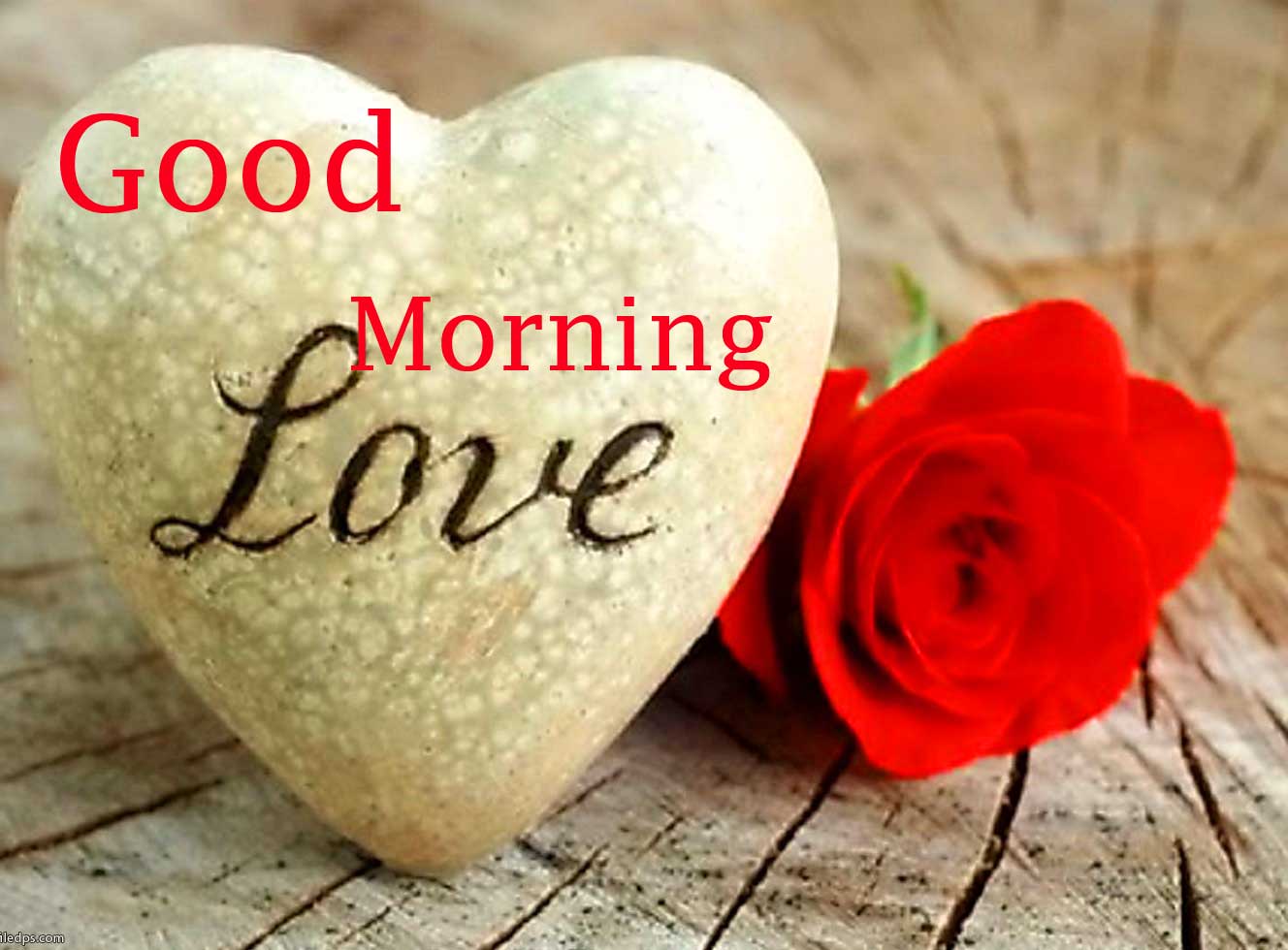 Dil Good Morning Images Wallpaper Free Download 