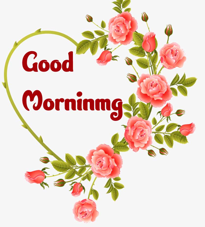 Good Morning Wishes Images Pics photo Download 
