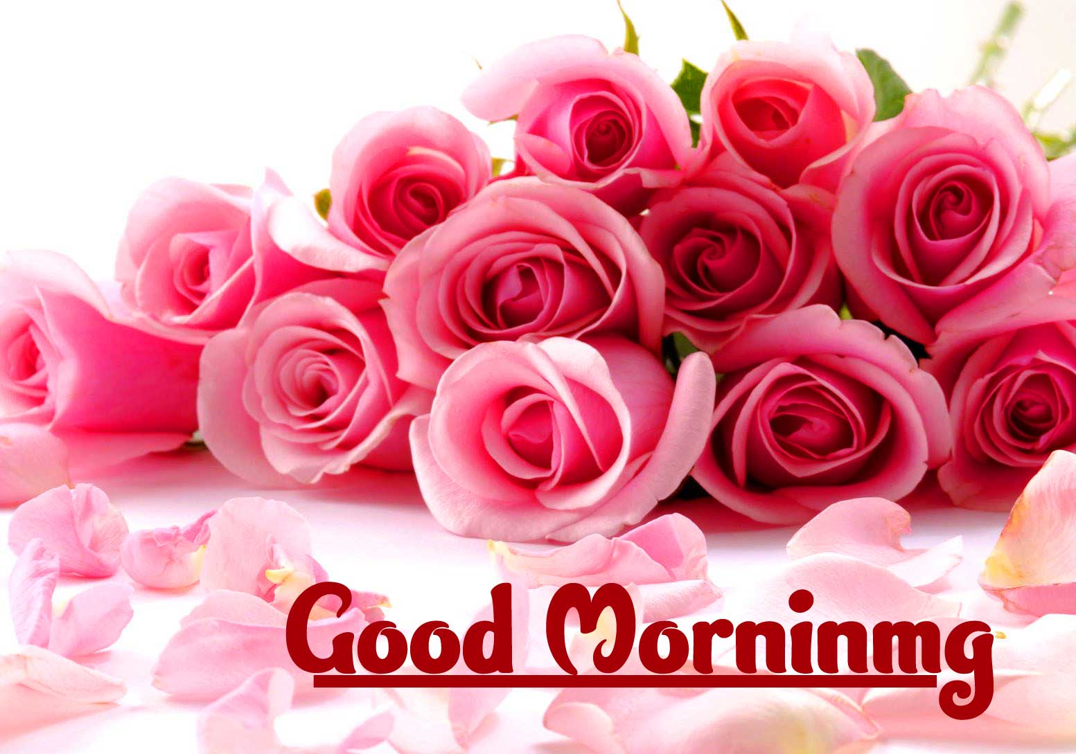 Good Morning Wishes Images Wallpaper Free Download 