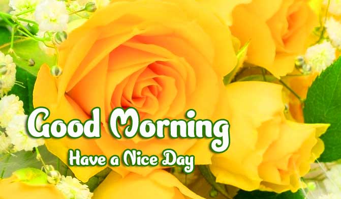 Beautiful Good Morning Wishes Images Pics Photo Download 