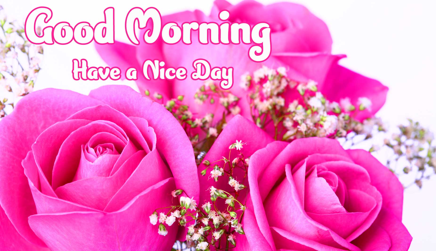 Beautiful Good Morning Wishes Images Wallpaper Pics Download 