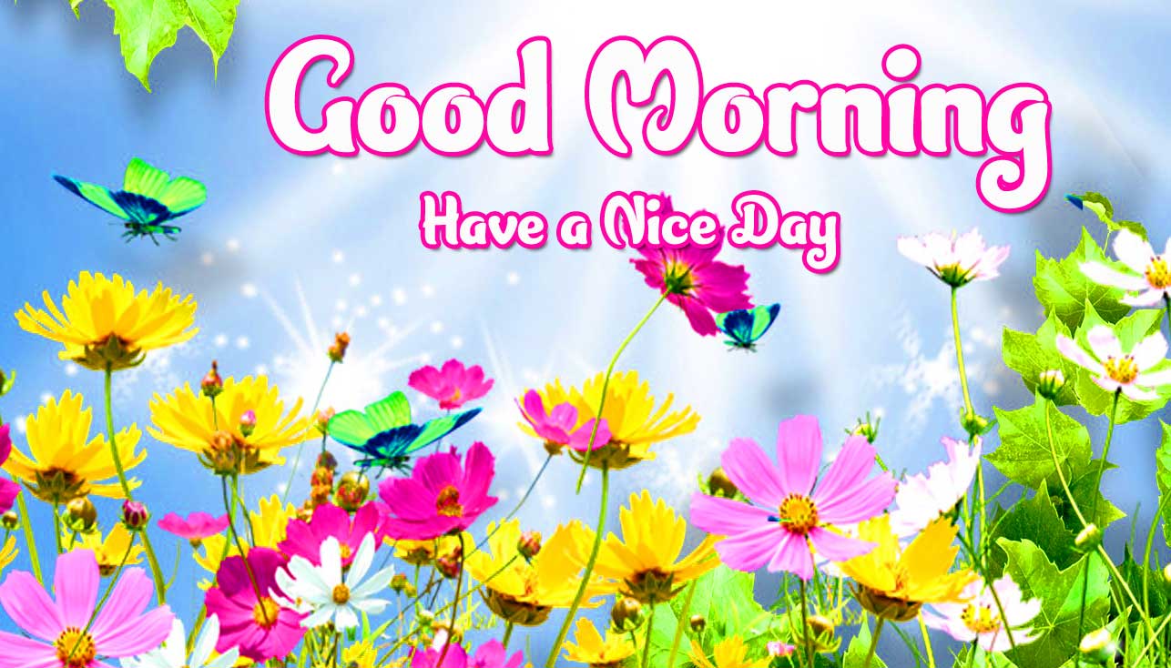 Beautiful Good Morning Wishes Images Wallpaper Free Download 