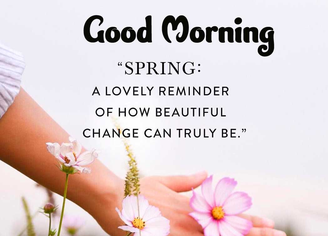 Beautiful Good Morning Wishes Images Wallpaper Pics Download 