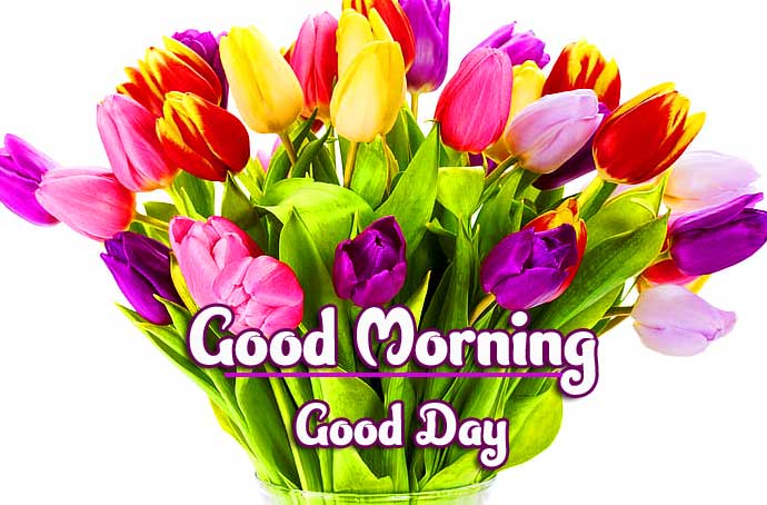 Beautiful Good Morning Wishes Images Pics Wallpaper DOWNLOAD 