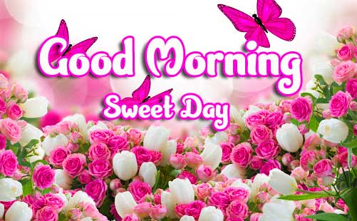 Beautiful Good Morning Wishes Images Pics Free Download 