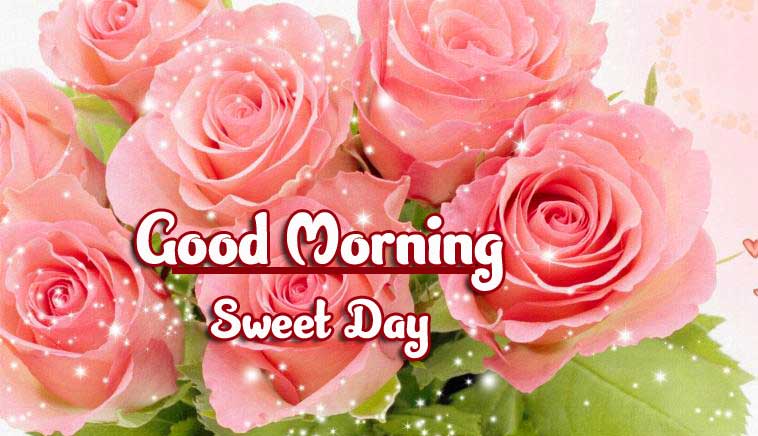 Beautiful Good Morning Wishes Images Wallpaper HD Download 