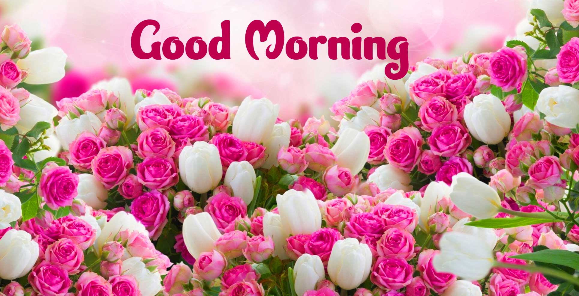 Beautiful Good Morning Wishes Images Wallpaper free Download 