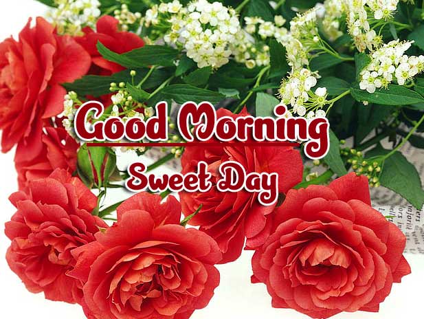 Beautiful Good Morning Wishes Images Wallpaper HD Download 