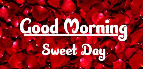 Beautiful Good Morning Wishes Images pics download