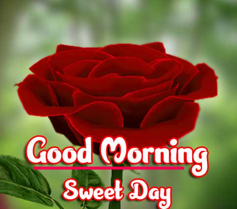 Beautiful Good Morning Wishes Images Wallpaper pics Download 