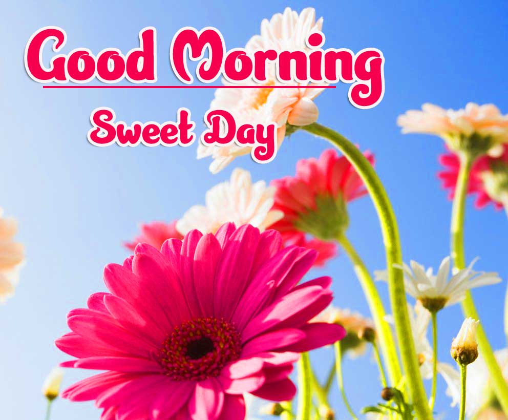 Beautiful Good Morning Wishes Images Pics Download 