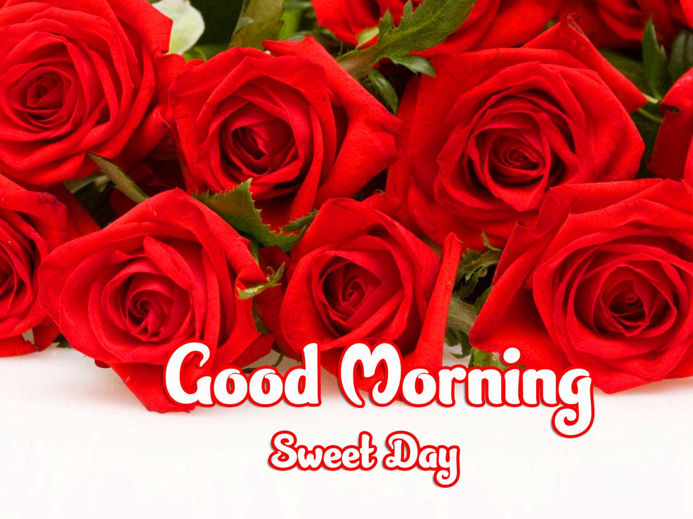 Beautiful Good Morning Wishes Images Pics Wallpaper Download 
