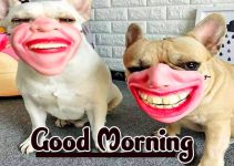 1498+ Funny Good Morning Wishes Images Download